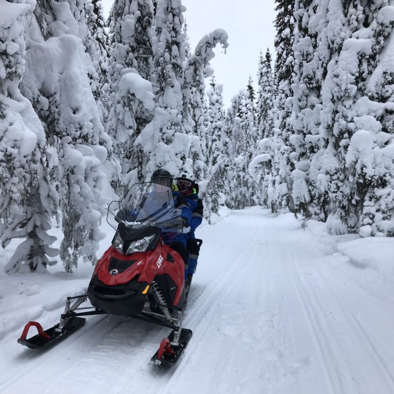 Doro Camping Lappland — photo 7