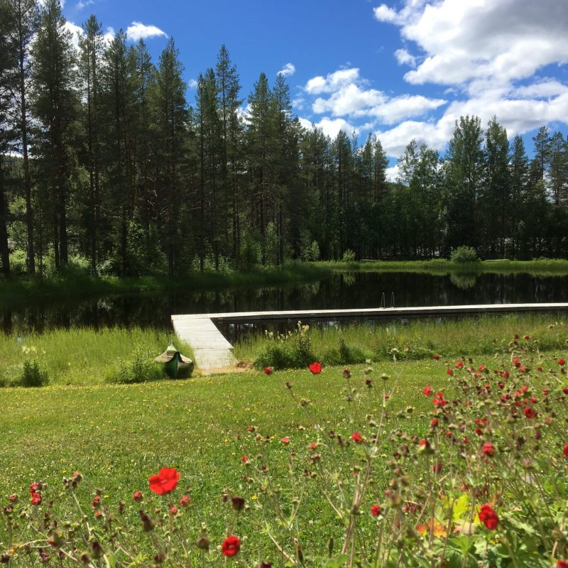 Doro Camping Lappland — photo 8